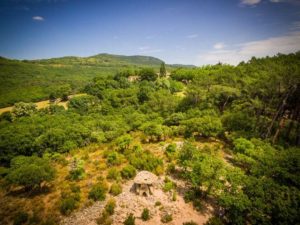 Parc-Prieuré Saint michel de grandmont-Sites d'exception en Languedoc