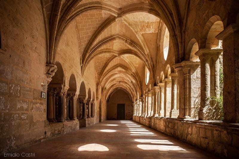 Cloître- Abbaye de Valmagne