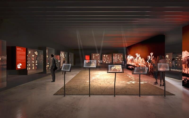SalleTracesduvivant©Projectilesm Musée de Lodève