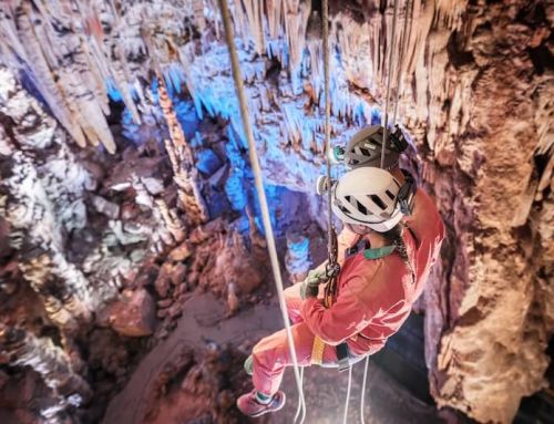 Top des activités à sensations fortes à faire en Languedoc (Occitanie) : notre sélection