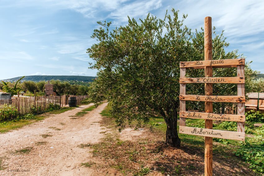 Oulivie Domaine de l'Oulivie