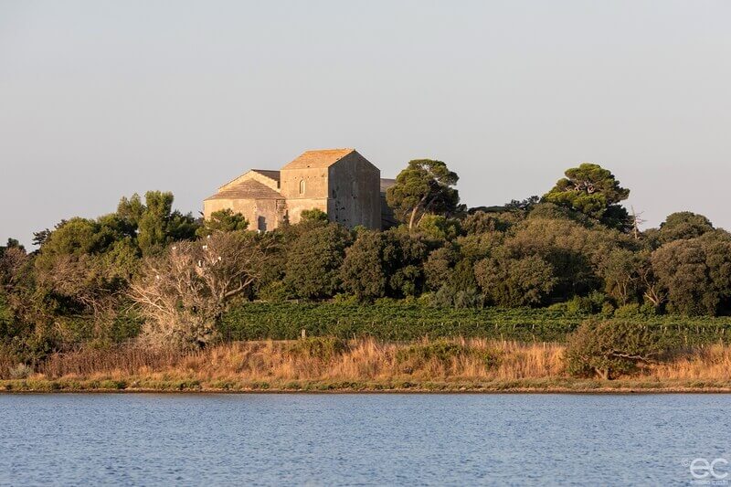 Cathédrale de Maguelone