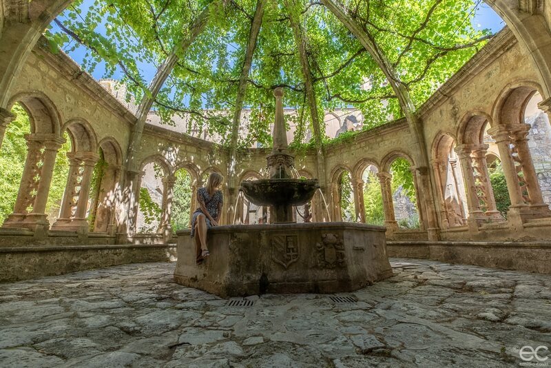 PHOTO_PRINCIPALEAbbayedeValmagne2_EmidioCastri Cloitre de l'Abbaye de Valmagne