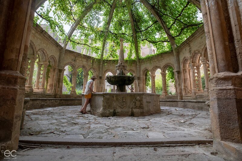 Abbaye de Valmagne