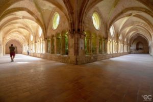 Le cloître de l'Abbaye cistercienne de Valmagne à Villeveyrac dans l'Hérault