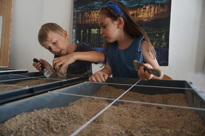 Atelier enfant fouille - Musée de Lodève