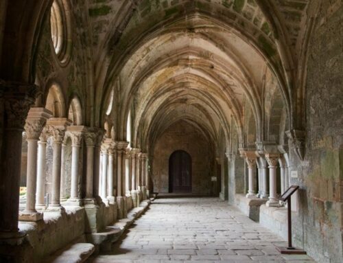 Le cloître dans une abbaye : Quelle symbolique ? Quels usages ?