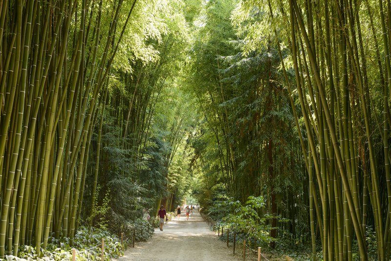 jdb_allée-des-sequoias_Gard-7091_OK