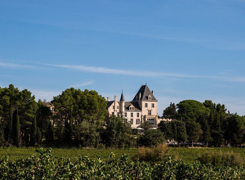 crédits-droits réservés-43643513_2676597585691135_5480958906324746240_n vignes Château les Carasses