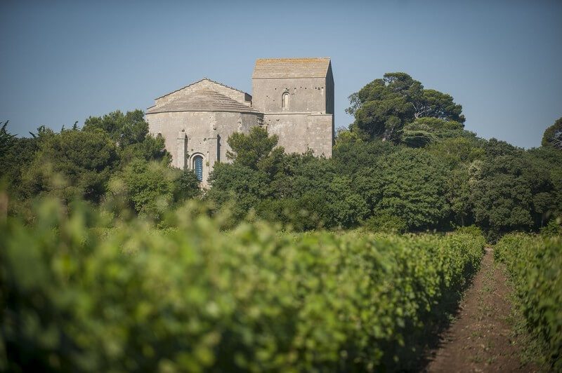 cathédrale dans les vignes maguelone