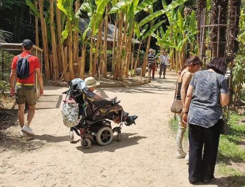 Guide du tourisme accessible en Languedoc : sites d’exception et handicap