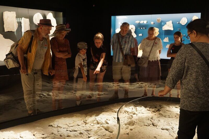 visite les incontournables du musée de lodève