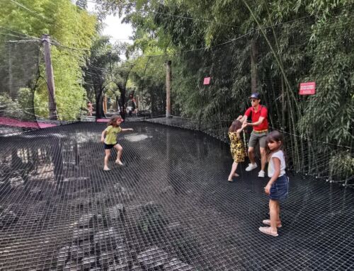 Top des activités Famille à faire dans l’Hérault et alentours