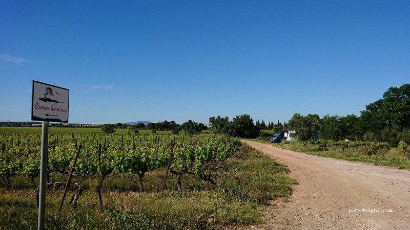 Château de Fourques chemin