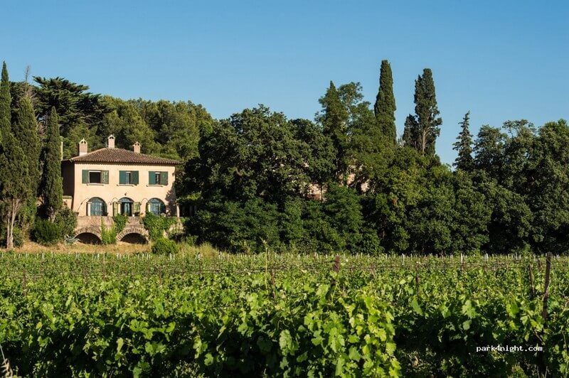 Domaine de la Conseillère et vignes