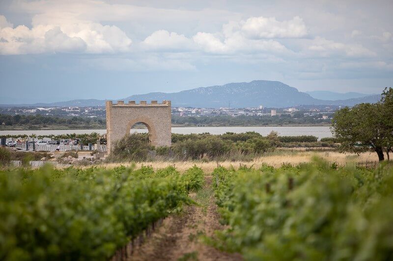 vigne domaine de maguelone