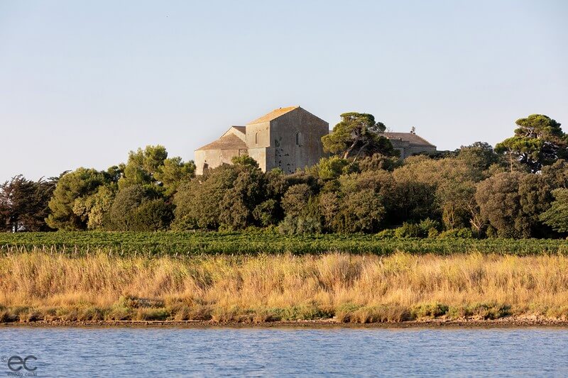 le domaine de maguelone