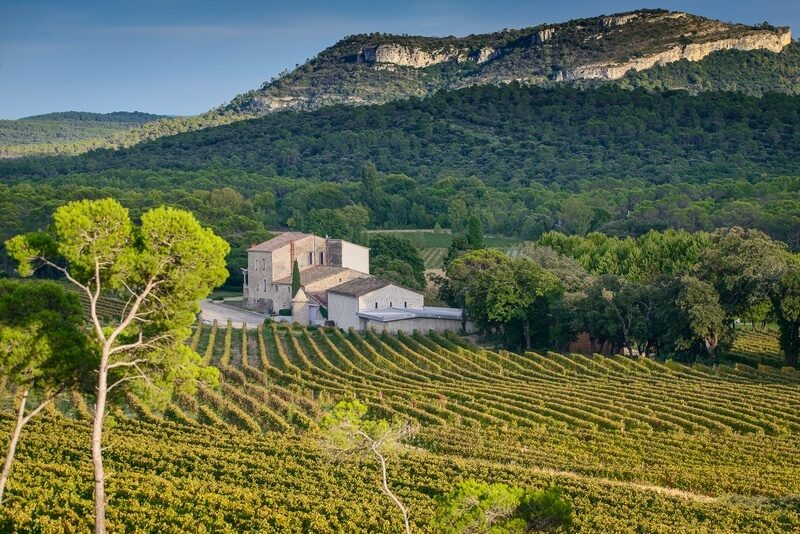 Château Laroque - Pic Saint Loup - Domaine en Biodynamie