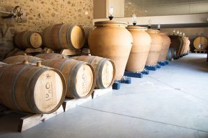 Domaine viticole PREIGNES LE VIEUX - Vias