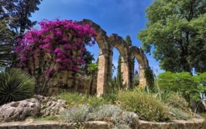 jardin des plantes Montpellier