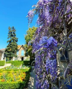 Jardins villa antonine Béziers