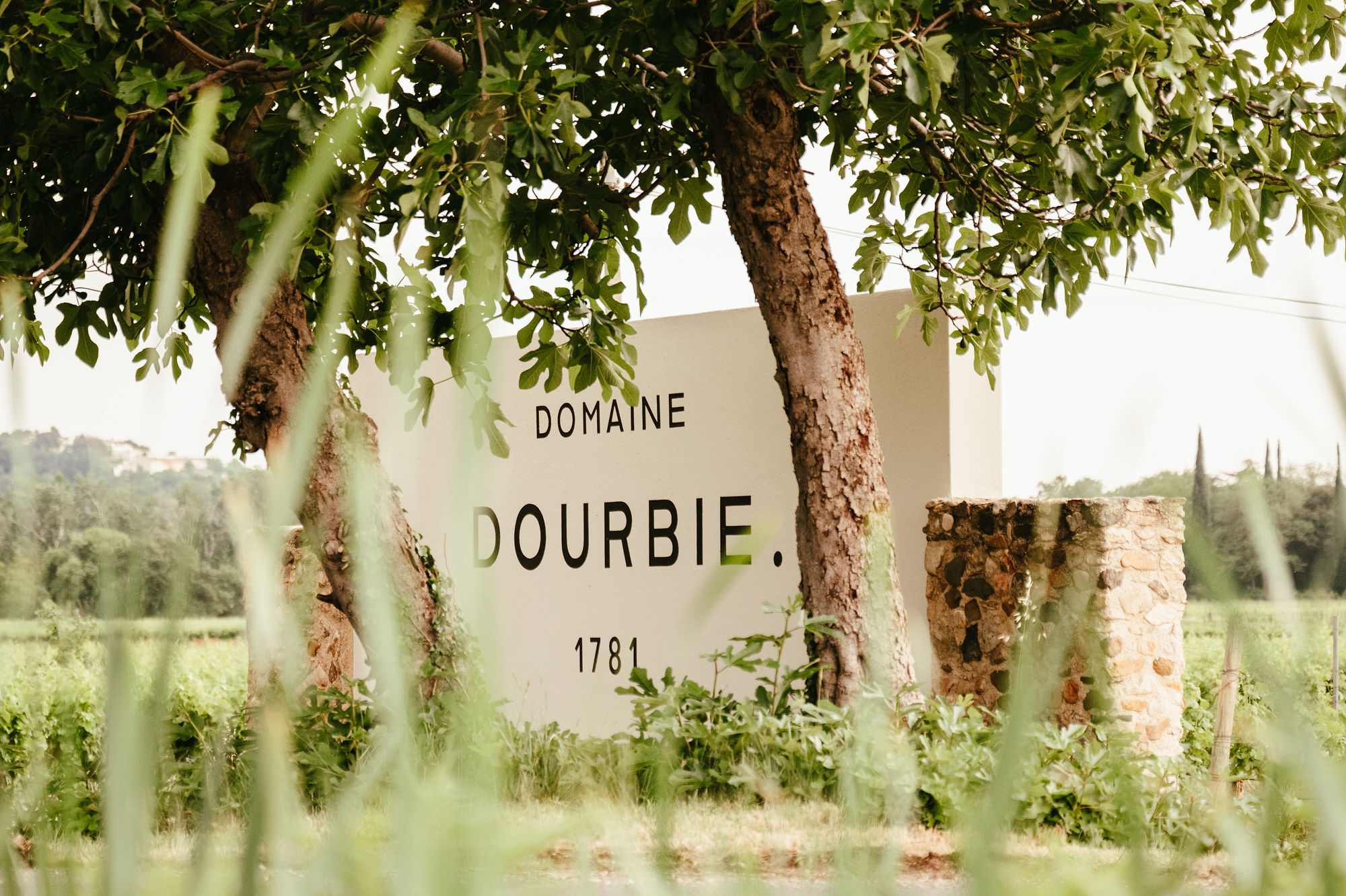 Domaine de la Dourbie - Séminaire