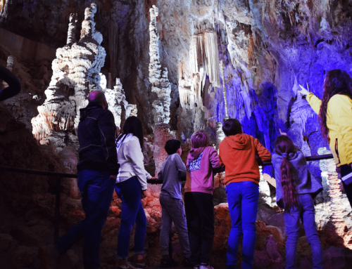 Visiter le Languedoc en famille : le top des activités ludiques et insolites