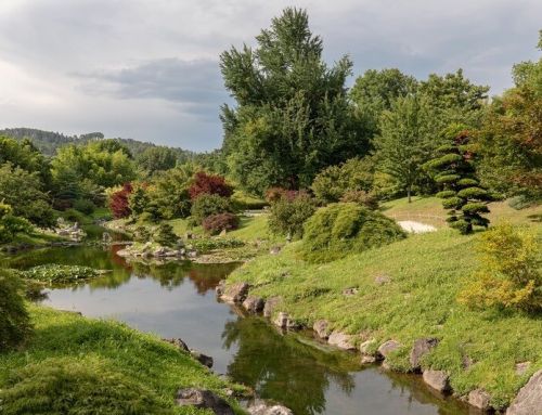 Les plus beaux parcs et jardins du Gard