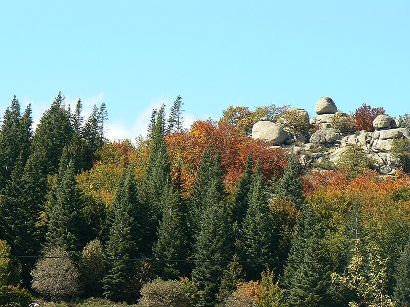 Vue sur le Parc des Cévennes