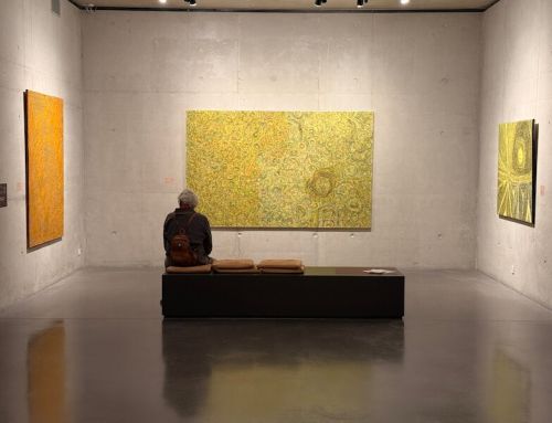 Les grandes expositions 2026 au Musée de Lodève