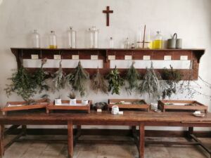 Chateau - Abbaye de Cassan - plantes aromatiques