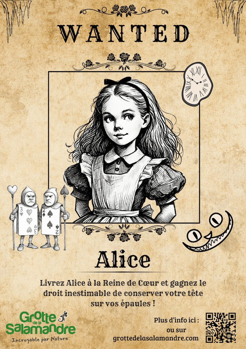 Alice - Escape game Grotte de la Salamandre