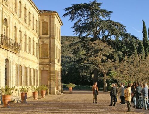 Visites de groupes pour associations en Hérault et alentours