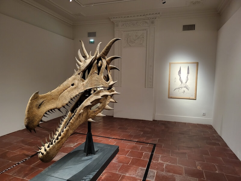 Musee de Lodeve - Expo 2025 - Crane de dragon