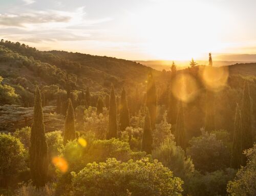 Que faire en janvier en Languedoc ? Les Sites d’exception ouverts pour une escapade hivernale