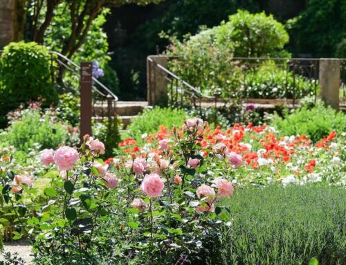 Languedoc : 8 jardins d’exception à visiter au printemps