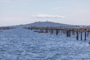 Vue sur les parc à huitre de l'étang de thau lors de la Balade en Bateau promenade avec l'Etoile de Thau à Marseillan