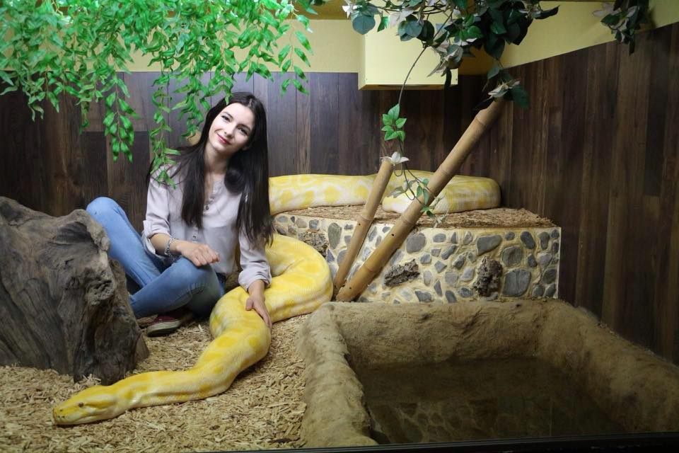 Reptilarium Larzac Le Reptilarium du Larzac présente les plus gros et les plus beaux reptiles. Ce lieu est situé à Saint Eulalie de Cernon en Aveyron, prés de Millau