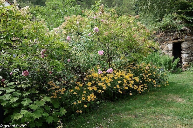 GardTourisme_03870_Concoules,_jardin_du_Tomple_Copyright _Gerard_Febre_HD (1) Les Jardins du Tomple à Concoules, un jardin de type anglais